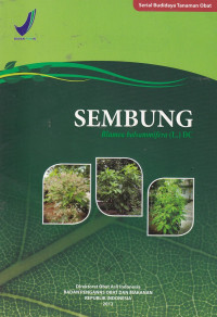 Image of Sembung : Blumea Balsamifera (L.) Dc